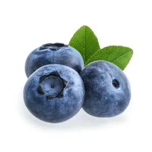 Blueberry Seed Oil