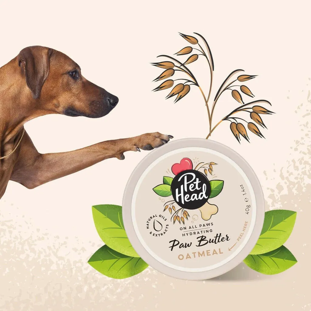 Pet Head On All Paws Oatmeal Paw Butter For Dogs & Cats (1.4 oz)